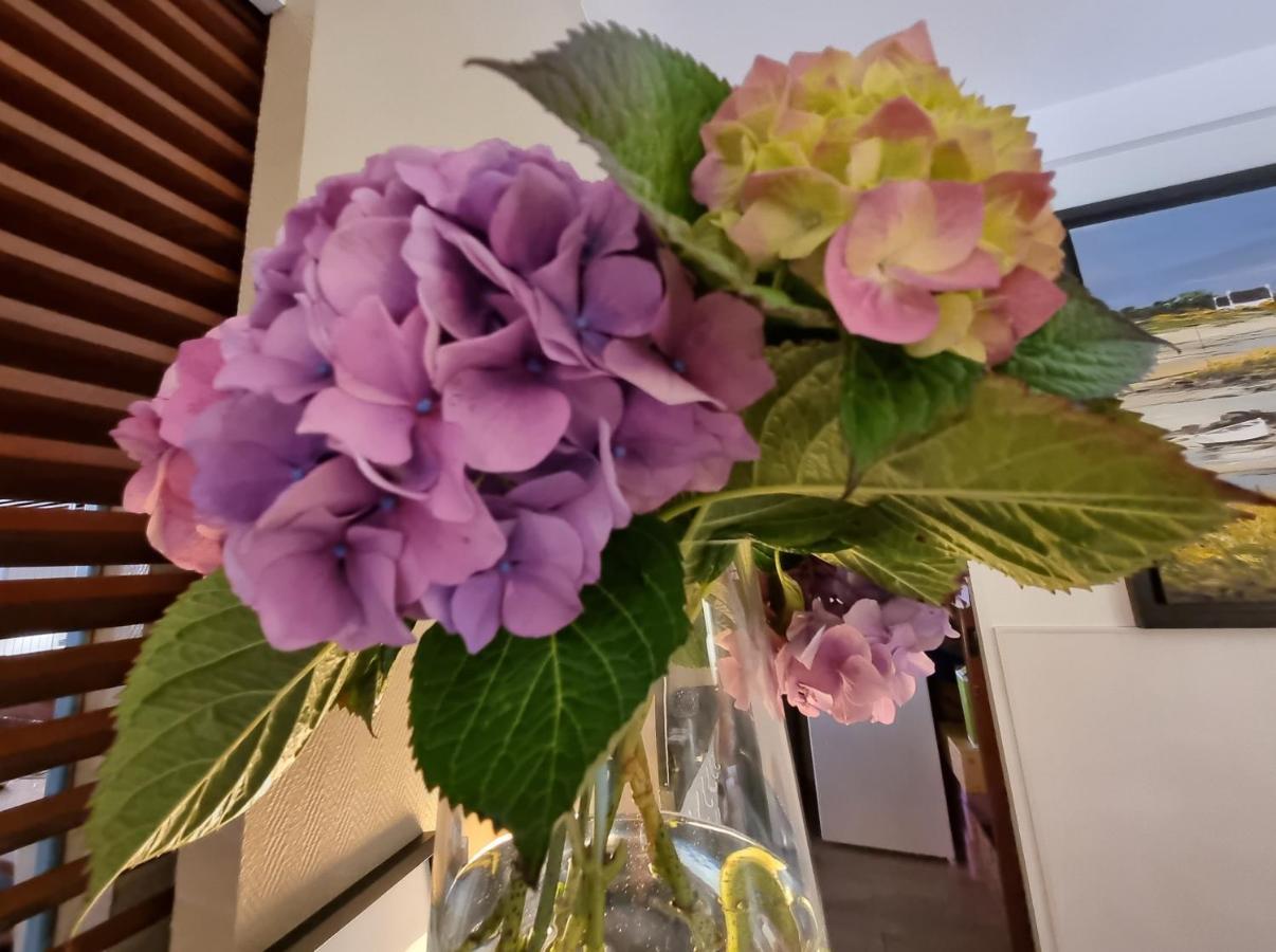 欧洲酒店 佩罗斯－吉雷克 外观 照片